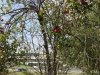 DSC02770