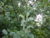 DSC03009