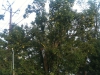 photo17