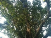 photo18