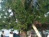 photo19