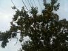 photo21