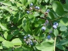 DSC03071