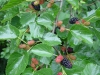 DSC02544