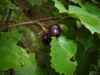 DSC02766