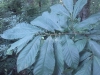 IMG_20110709_112027