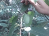 IMG_20110709_112426