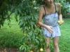 photo12