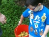 photo14
