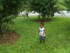 photo16