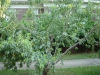 DSC03084