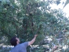 IMG_20110814_104357