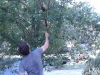 IMG_20110814_104403