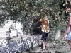 IMG_20110814_104433