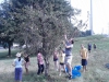 IMG_20110821_110541