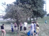 IMG_20110821_110554