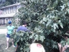 IMG_20110821_113646