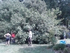 IMG_20110821_114253