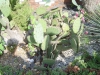 DSC02871