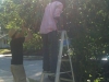 photo4